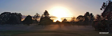 Dawn Mist